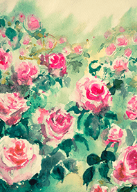 Beautiful rose flower(R4626)