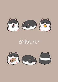 我養的黃金鼠-黑熊鼠(咖啡色)