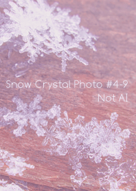 Snow Crystal Photo #4-9Not AI