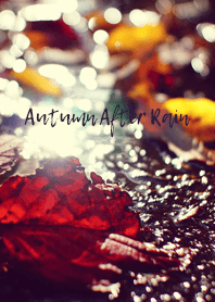 Autumn After Rain