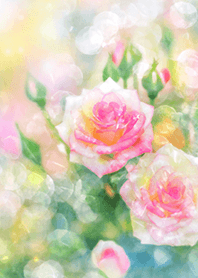 Beautiful rose flower(R1991)