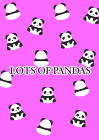 LOTS OF PANDASj-NEON PINK-BLACK