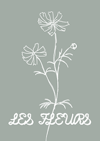 Cosmos:Gray green(new)