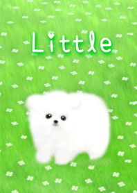 Little white dog 2 vol.52