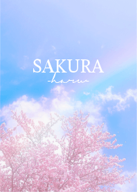 Sakura-Haru- Rainbow 3
