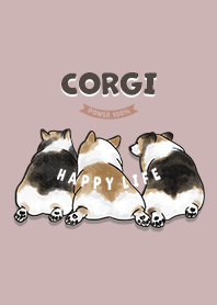corgicorgi2 / rose pink