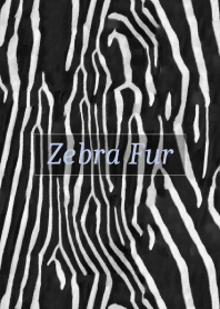 Zebra Fur 25