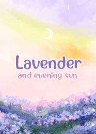 Lavender and evening sun