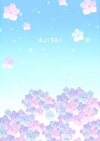 さわやかあじさい・青空キュート