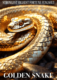 Golden snake  Lucky 41