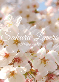 Sakura Lovers