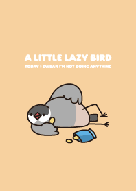 Lazy bird - Black Java Sparrow