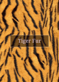 Tiger Fur 31