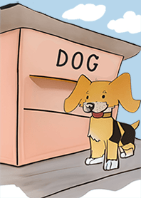 dog shop