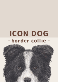 ICON DOG - Border Collie - BROWN/05