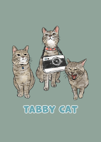 tabbycat11 / dusty green