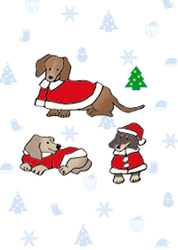 Dogs Xmas 3  Dachshund