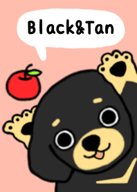 ブラックタンの子犬