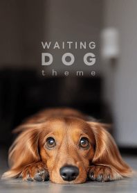 WAITING DOG - ダックスフント L 01/R -