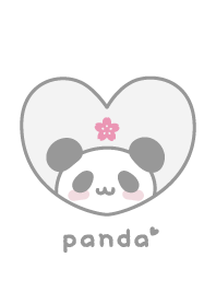 Panda Cherry blossoms - White