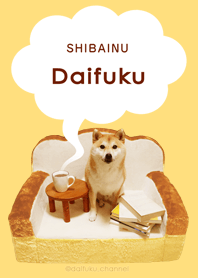 Everyday fluffy! Shiba inu Daifuku