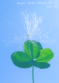 Angel hair Photo #3-13 Not AI