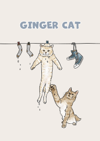 gingercat3 - light cream