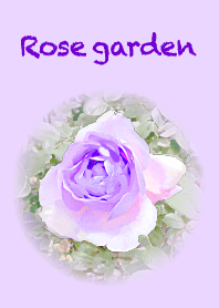 Rose garden 薄紫