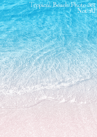 TropicalBeach Photo 361 Not AI
