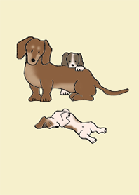 狗 臘腸犬_象牙