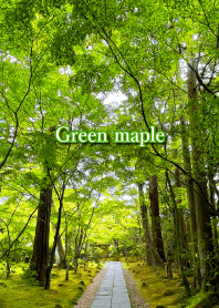 "Green maple vol.3" theme
