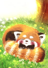 レッサーパンダ　ポへのお昼寝【春】