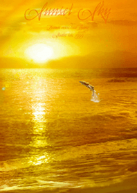 Sunset sky Healing beach Dolphin