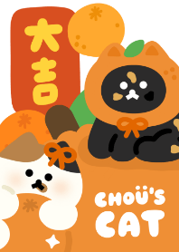 Chou's Cat Orange