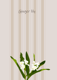 July's birth flower,Ginger lily