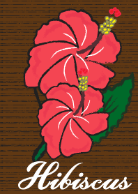 Hibiscus Flower