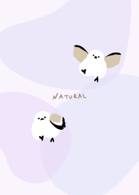 Long-tailed tit dancing30 from Japan