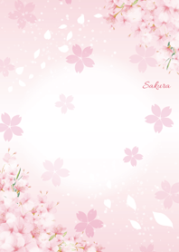 Sakura that bring good luck