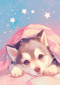 可愛の冬日哈士奇❤