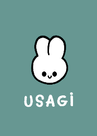 USAGI THEME 46
