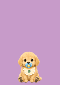 light purple　赤ちゃんゴールデン