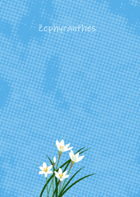 September's birth flower, Zephyranthes