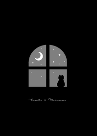 Cat by the window /black