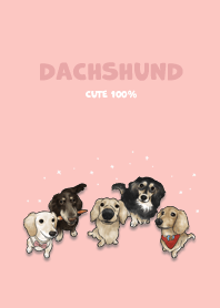 dachshund1 / shell pink