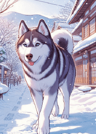 古鎮雪中哈士奇