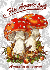 Fly agaric Benitengutake