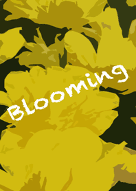 Blooming