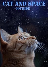 Cat and space
