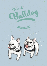 French Bulldog white / blue