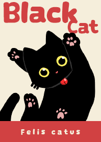 Black Cat Red Bell